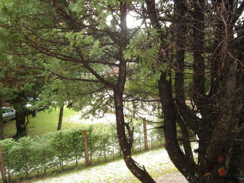 Вілла Tinsel'S House Сан-Карлос-де-Барілоче Екстер'єр фото
